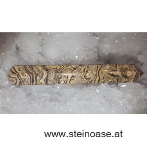 Massage-Stab Stromatolith